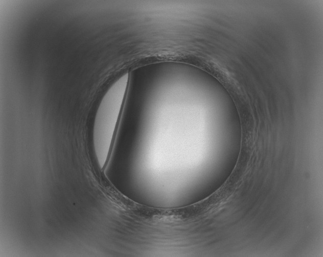 X0000073750689200608031136