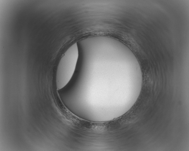 X0000073750694200608031136