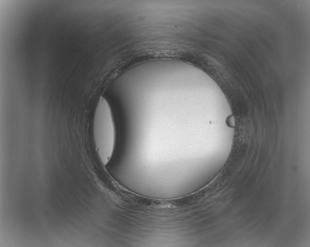 X0000073750695200608031136