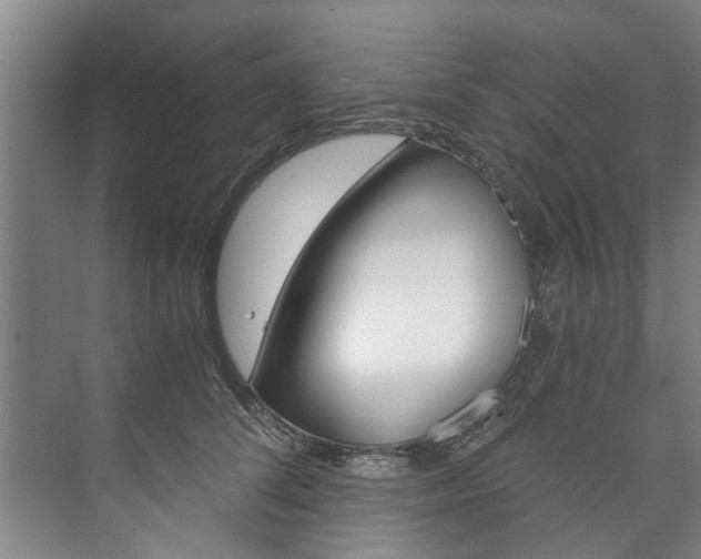 X0000073750708200608031135