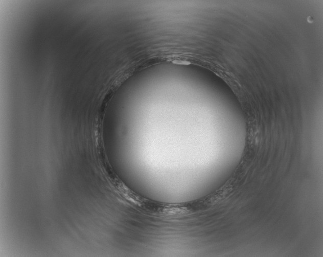 X0000073750716200608031135