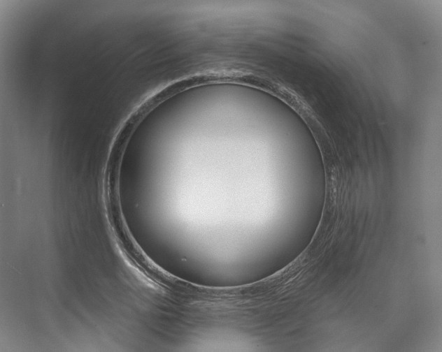 X0000073750726200608031134