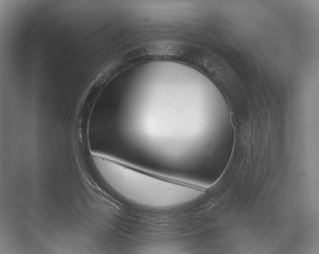 X0000073750731200608031135
