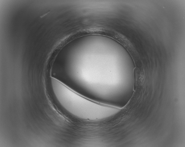 X0000073750732200608031135