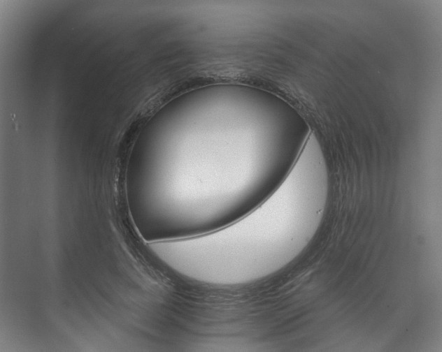 X0000073750739200608031135