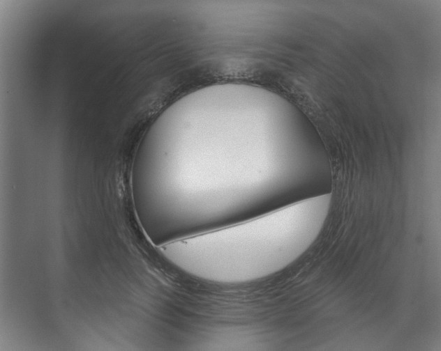 X0000073750746200608031135