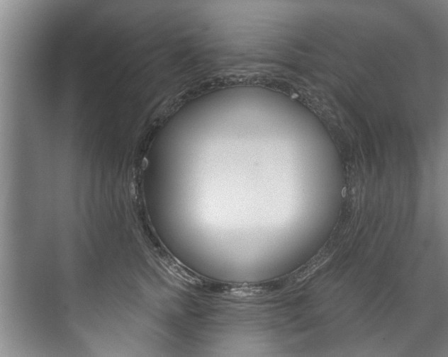 X0000073750758200608031135