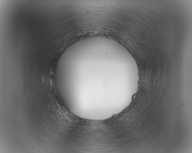 X0000073750770200608031134