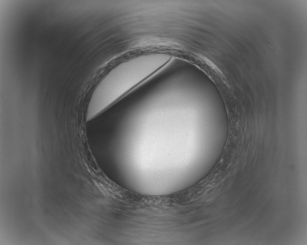 X0000073750775200608031134