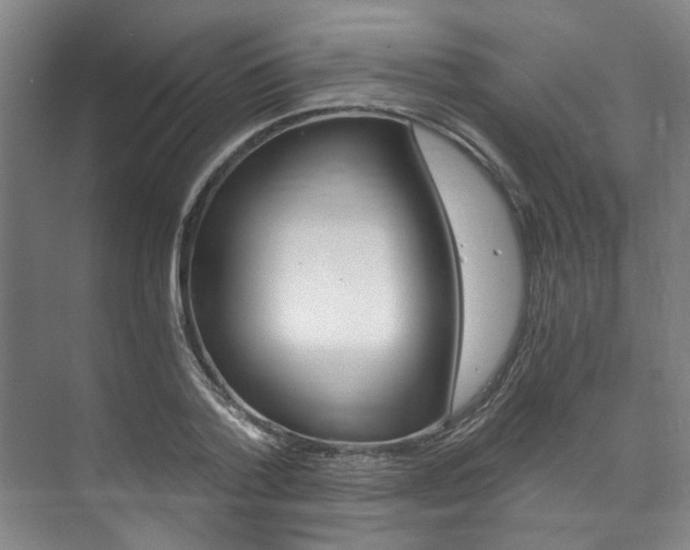 X0000073750788200608031134