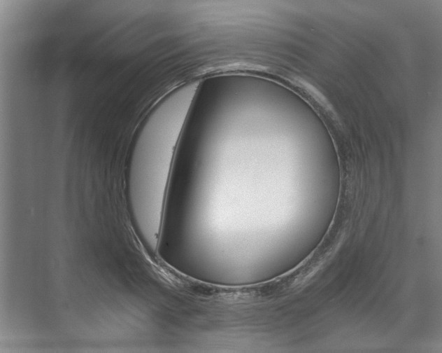 X0000073750793200608031134