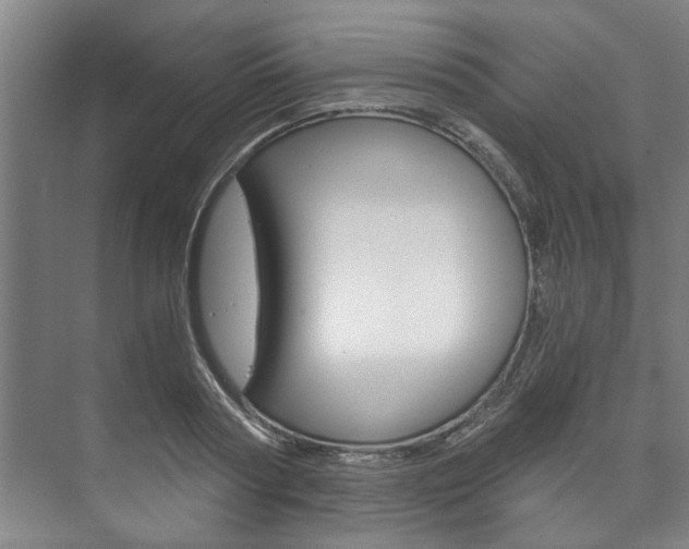 X0000073750794200608031134