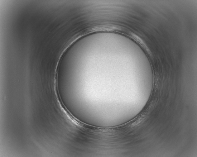 X0000073750802200608031134