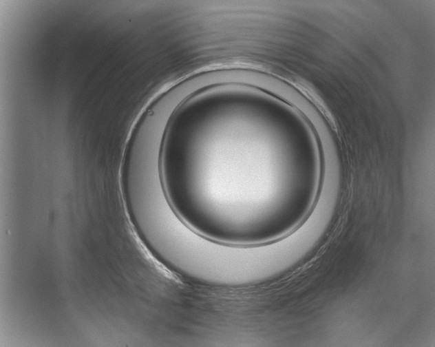 X0000073750805200608031134