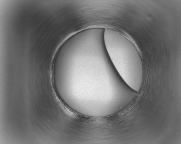 X0000073750811200608031134