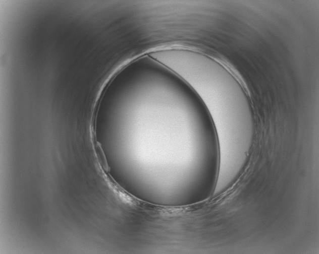 X0000073750813200608031134
