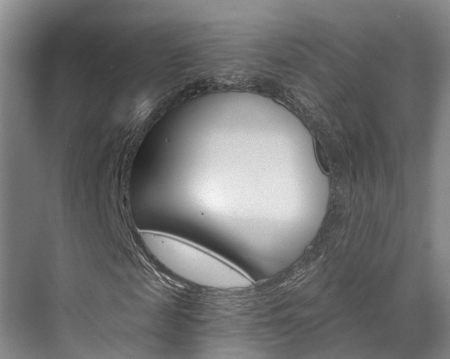 X0000073750817200608031133