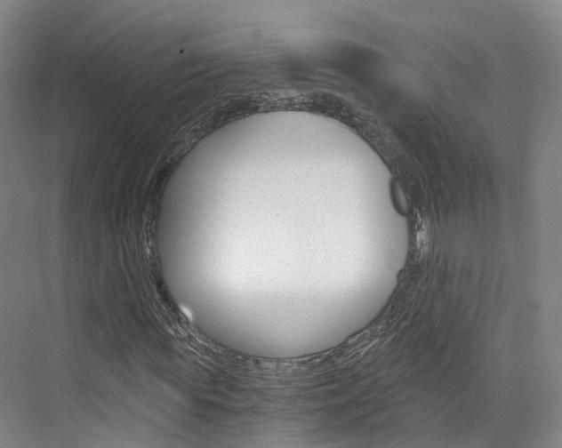 X0000073750819200608031133