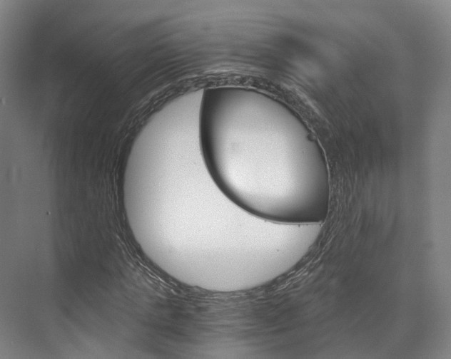 X0000073750821200608031133
