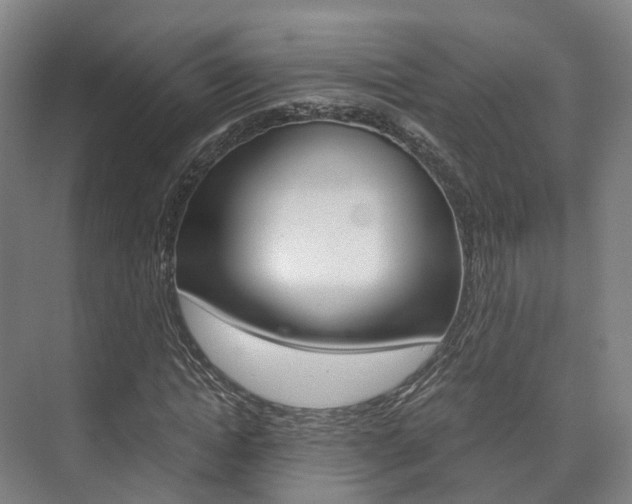 X0000073750822200608031133