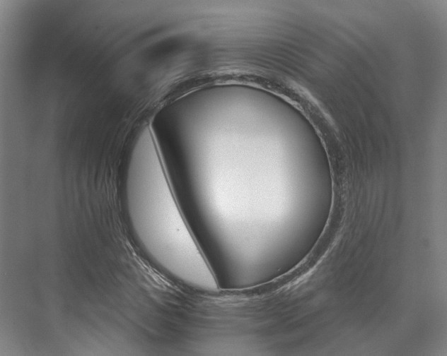 X0000073750825200608031133