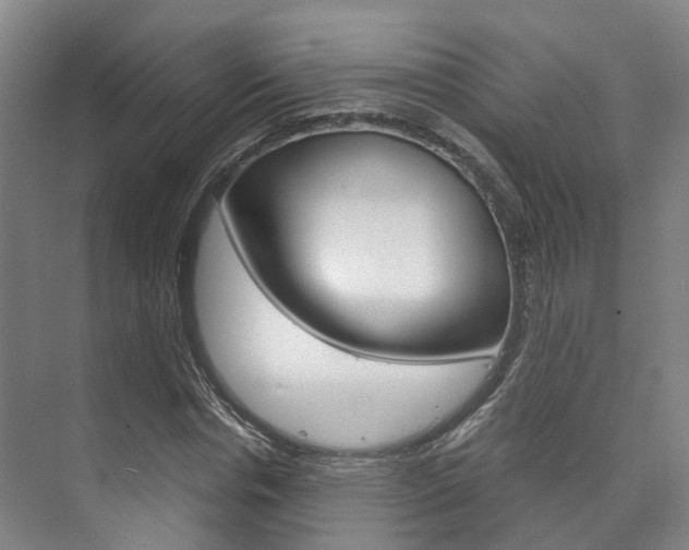 X0000073750826200608031133