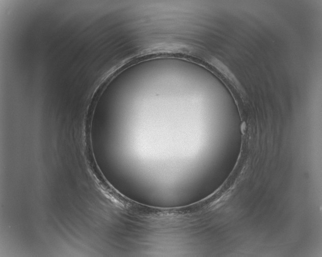 X0000073750834200608031133