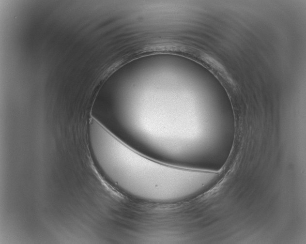X0000073750841200608031133