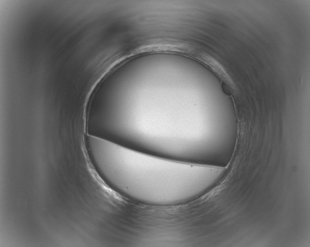 X0000073750844200608031133