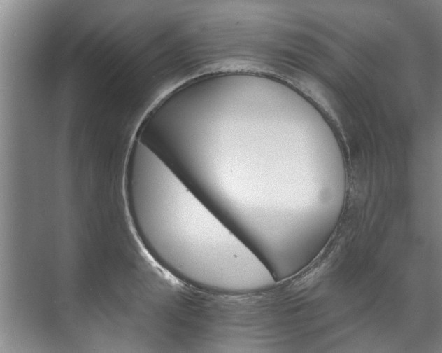 X0000073750847200608031133