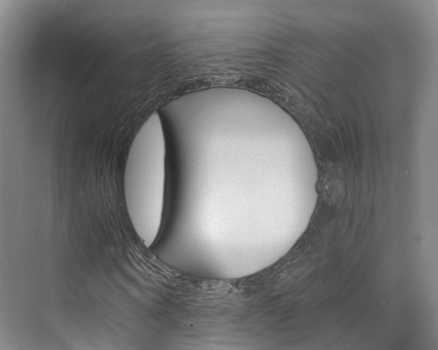 X0000073750866200608031133
