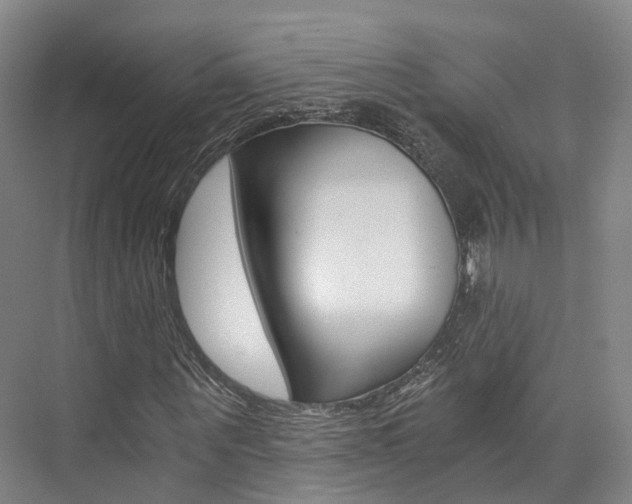 X0000073750867200608031133