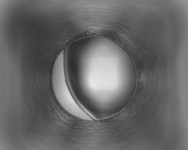 X0000073750868200608031133