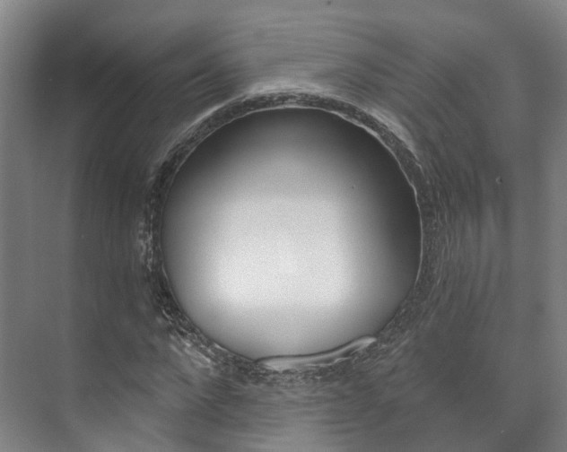 X0000073750872200608031133