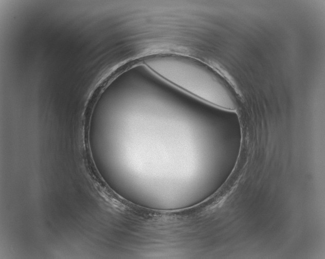 X0000073750877200608031133