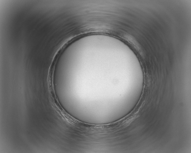 X0000073750883200608031132