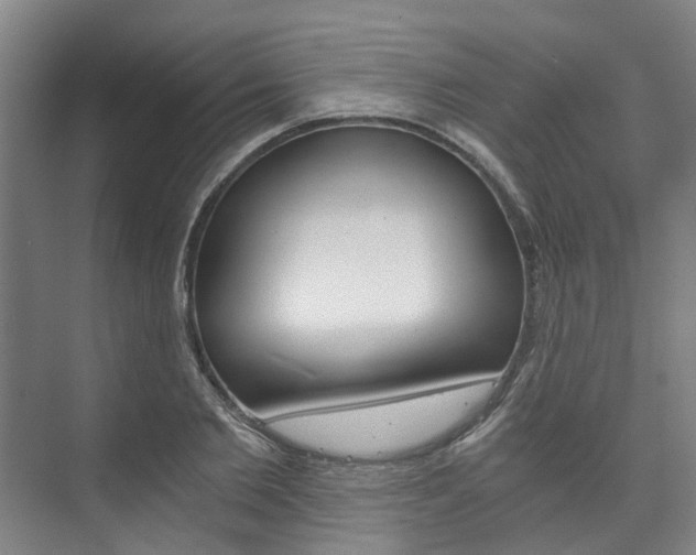 X0000073750885200608031132
