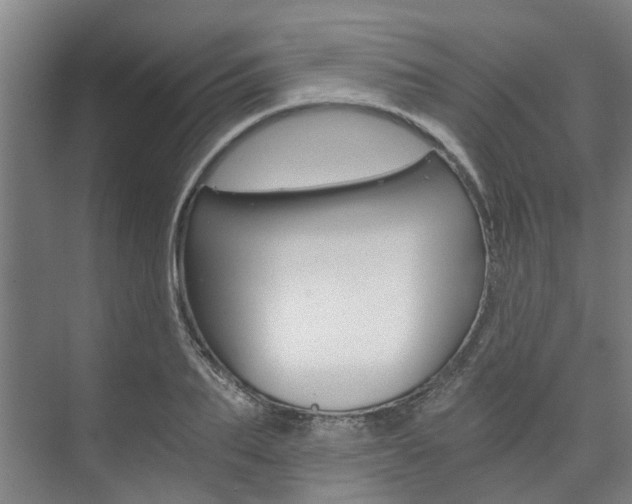 X0000073750887200608031132