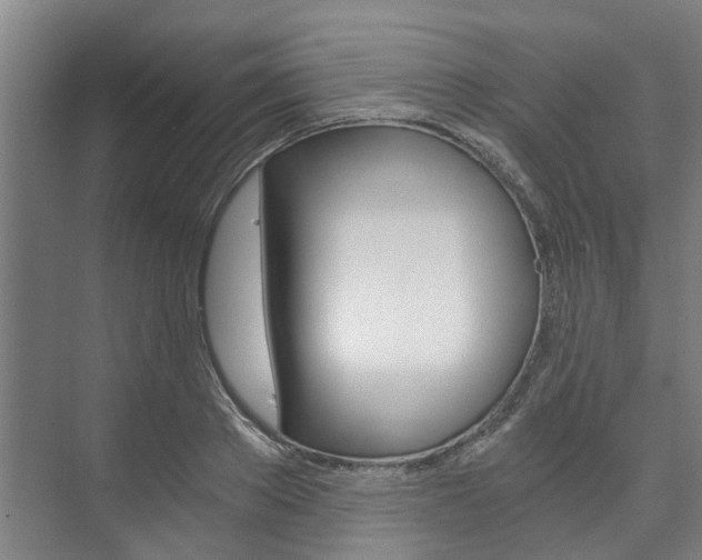 X0000073750889200608031132