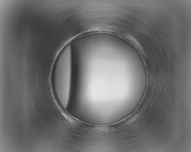 X0000073750893200608031132
