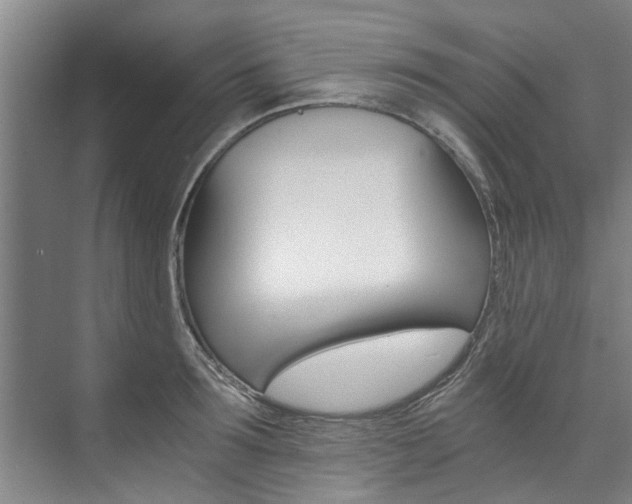 X0000073750899200608031132