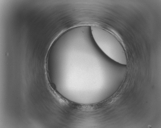 X0000073750907200608031132