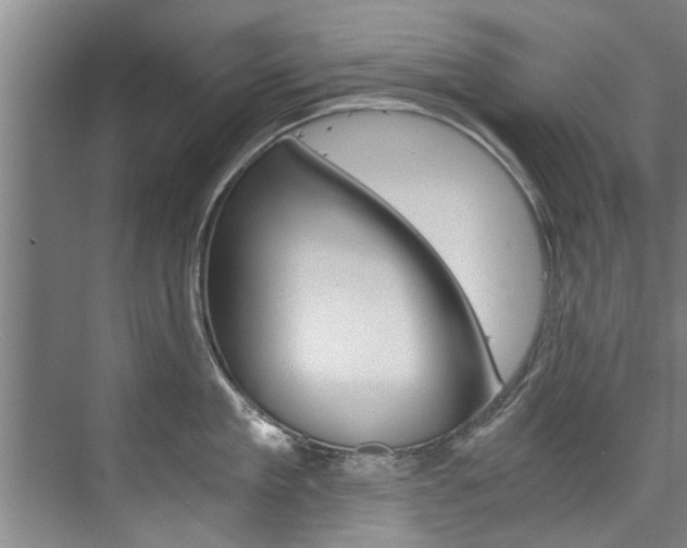X0000073750909200608031132