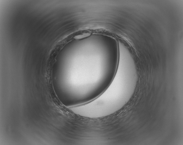 X0000073750920200608031131