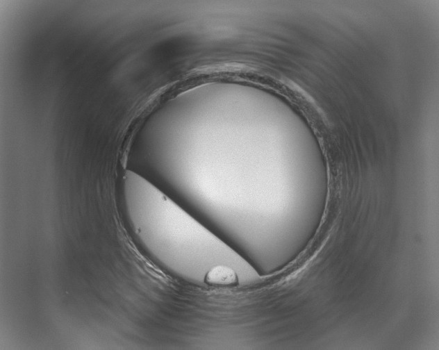 X0000073750921200608031131