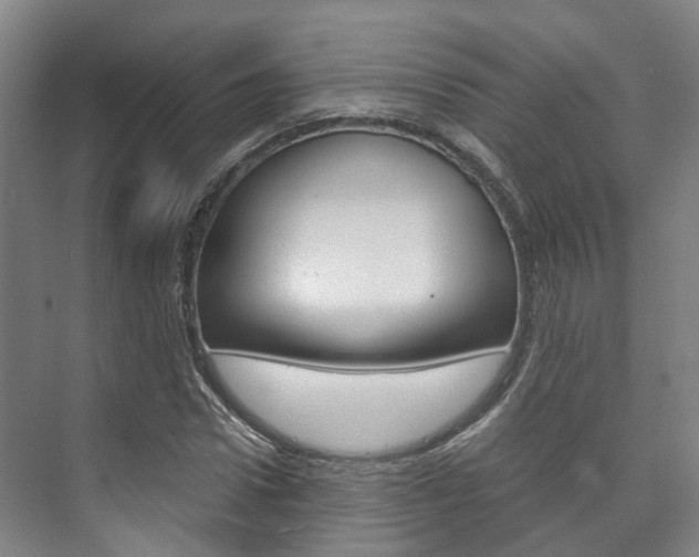 X0000073750922200608031131