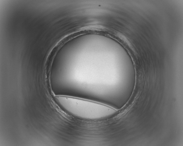 X0000073750923200608031131