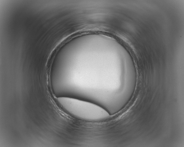 X0000073750925200608031131