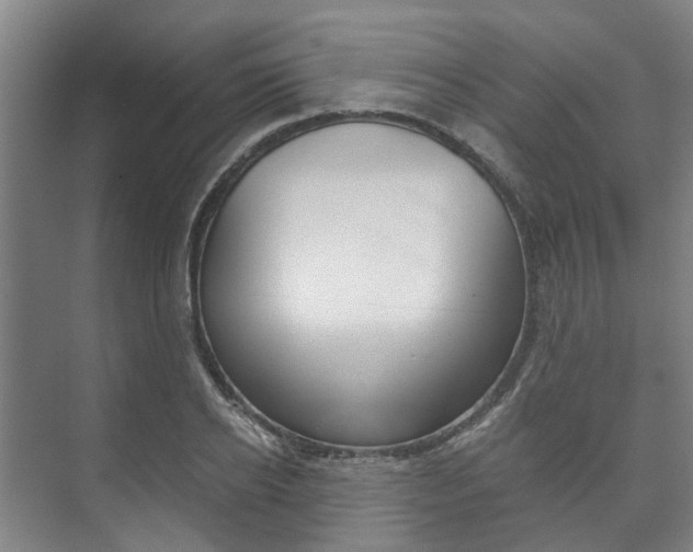 X0000073750934200608031132