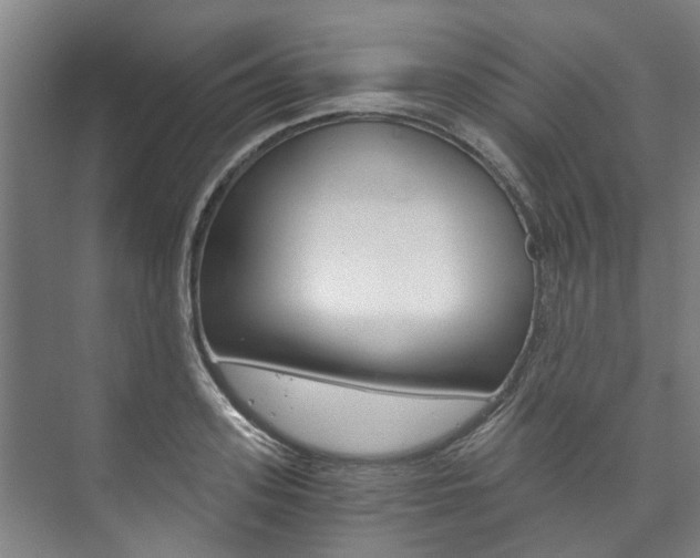 X0000073750939200608031132